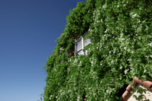 Crazy Ivy Plugin UE4 & UE5