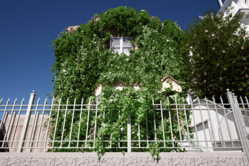 Crazy Ivy Plugin UE4 & UE5